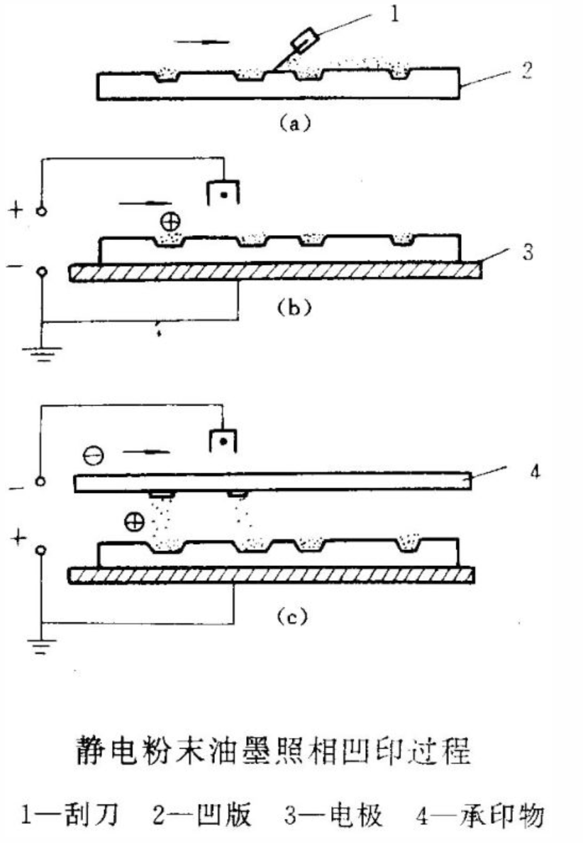 靜電植絨機(jī),地毯機(jī),地毯背膠機(jī),涂層機(jī),定型機(jī)