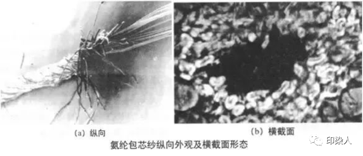 定型機,涂層機,地毯機,地毯背膠機,靜電植絨機