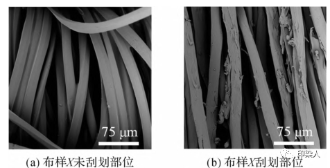 定型機(jī),涂層機(jī),地毯機(jī),地毯背膠機(jī),靜電植絨機(jī)