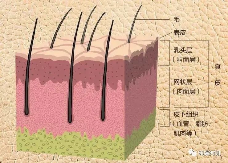 定型機,涂層機,地毯機,地毯背膠機,靜電植絨機